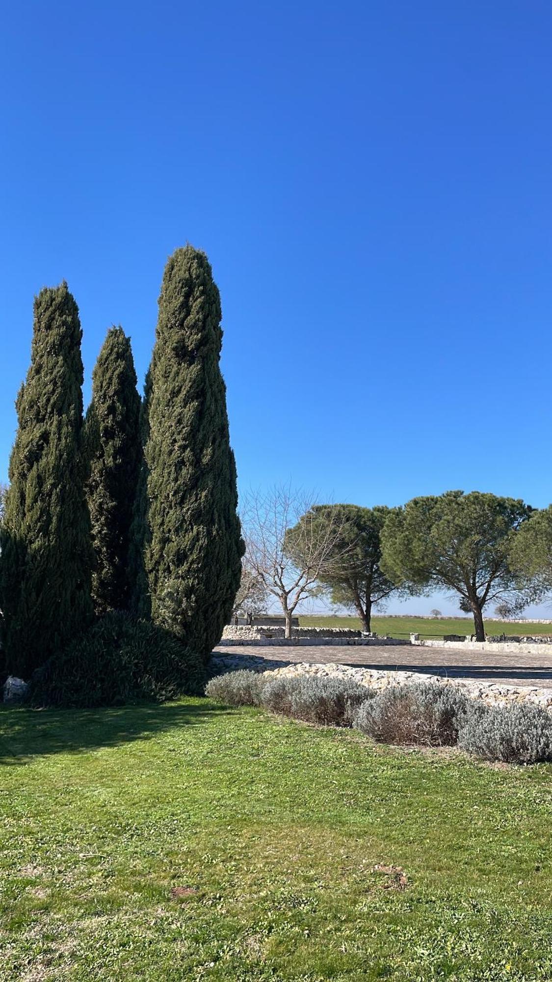 Masseria La Mandra ノーチ エクステリア 写真
